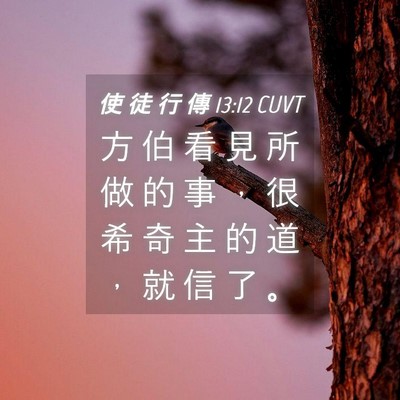 Picture 04 - 使 徒 行 傳 13:12 CUVT - 方 伯 看 見 所 做 的 事 ， 很 希 奇 - Bible Verse Picture