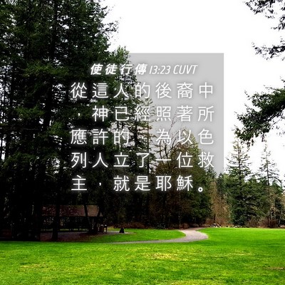 Picture 04 - 使 徒 行 傳 13:23 CUVT - 從 這 人 的 後 裔 中 ， 神 已 經 照 - Bible Verse Picture