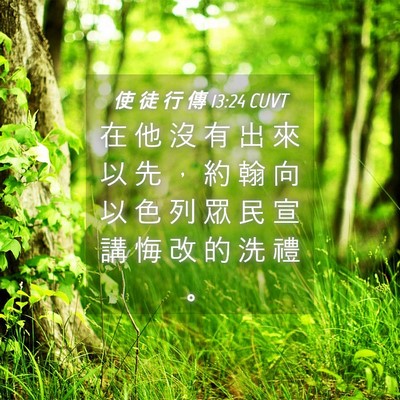 Picture 04 - 使 徒 行 傳 13:24 CUVT - 在 他 沒 有 出 來 以 先 ， 約 翰 向 - Bible Verse Picture