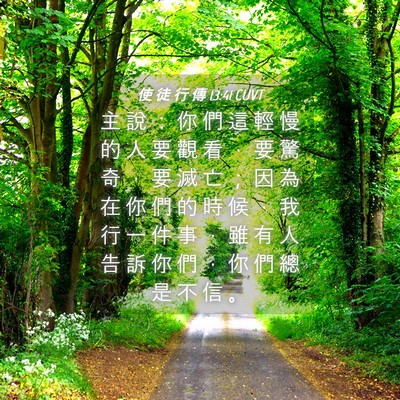 Picture 04 - 使 徒 行 傳 13:41 CUVT - 主 說 ： 你 們 這 輕 慢 的 人 要 觀 - Bible Verse Picture