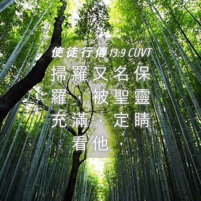 Picture 04 - 使 徒 行 傳 13:9 CUVT - 掃 羅 又 名 保 羅 ， 被 聖 靈 充 滿 - Bible Verse Picture