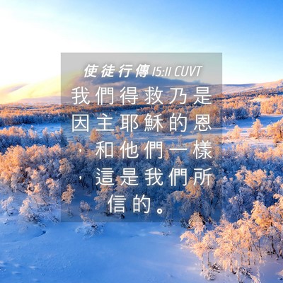 Picture 04 - 使 徒 行 傳 15:11 CUVT - 我 們 得 救 乃 是 因 主 耶 穌 的 恩 - Bible Verse Picture