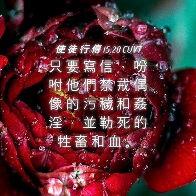 Picture 04 - 使 徒 行 傳 15:20 CUVT - 只 要 寫 信 ， 吩 咐 他 們 禁 戒 偶 - Bible Verse Picture