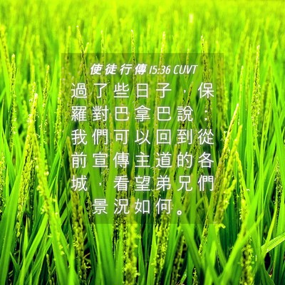 Picture 04 - 使 徒 行 傳 15:36 CUVT - 過 了 些 日 子 ， 保 羅 對 巴 拿 巴 - Bible Verse Picture