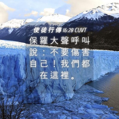 Picture 04 - 使 徒 行 傳 16:28 CUVT - 保 羅 大 聲 呼 叫 說 ： 不 要 傷 害 - Bible Verse Picture