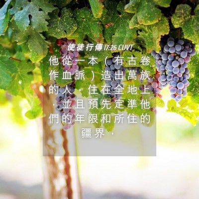 Picture 04 - 使 徒 行 傳 17:26 CUVT - 他 從 一 本 （ 有 古 卷 作 血 脈 ） - Bible Verse Picture