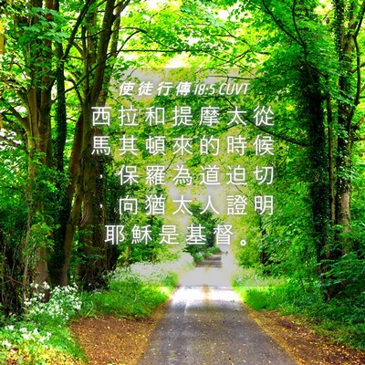 Picture 04 - 使 徒 行 傳 18:5 CUVT - 西 拉 和 提 摩 太 從 馬 其 頓 來 的 - Bible Verse Picture