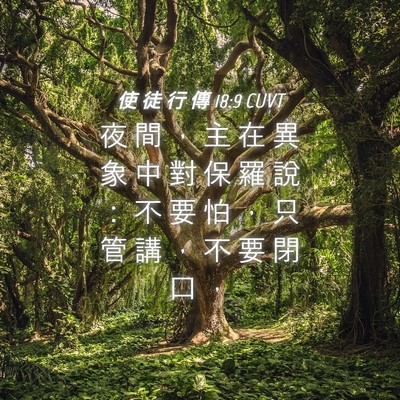 Picture 04 - 使 徒 行 傳 18:9 CUVT - 夜 間 ， 主 在 異 象 中 對 保 羅 說 - Bible Verse Picture