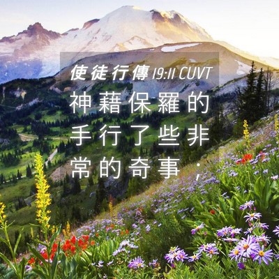 Picture 04 - 使 徒 行 傳 19:11 CUVT - 神 藉 保 羅 的 手 行 了 些 非 常 的 - Bible Verse Picture