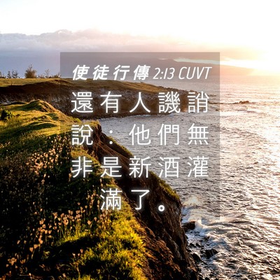 Picture 04 - 使 徒 行 傳 2:13 CUVT - 還 有 人 譏 誚 說 ： 他 們 無 非 是 - Bible Verse Picture
