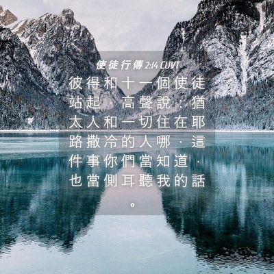 Picture 04 - 使 徒 行 傳 2:14 CUVT - 彼 得 和 十 一 個 使 徒 站 起 ， 高 - Bible Verse Picture