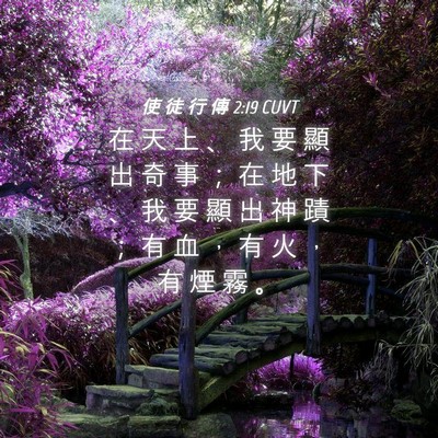 Picture 04 - 使 徒 行 傳 2:19 CUVT - 在 天 上 、 我 要 顯 出 奇 事 ； 在 - Bible Verse Picture