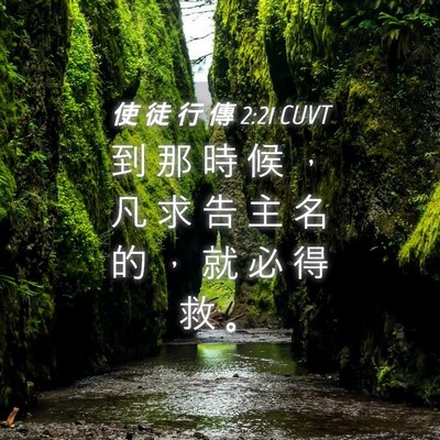 Picture 04 - 使 徒 行 傳 2:21 CUVT - 到 那 時 候 ， 凡 求 告 主 名 的 ， - Bible Verse Picture
