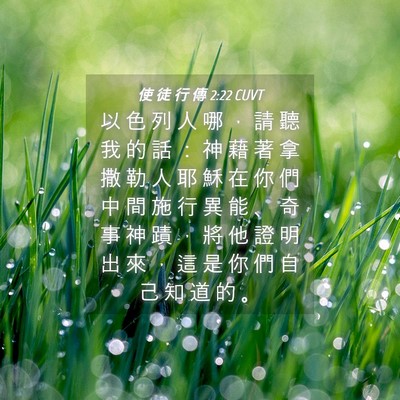 Picture 04 - 使 徒 行 傳 2:22 CUVT - 以 色 列 人 哪 ， 請 聽 我 的 話 ： - Bible Verse Picture