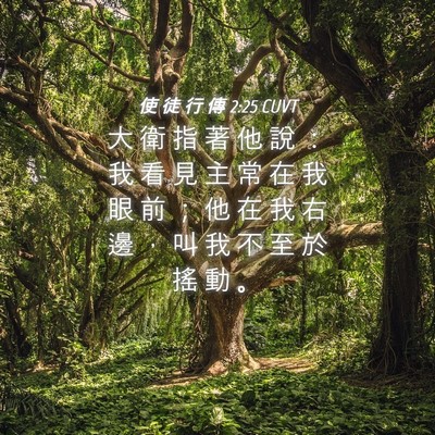 Picture 04 - 使 徒 行 傳 2:25 CUVT - 大 衛 指 著 他 說 ： 我 看 見 主 常 - Bible Verse Picture