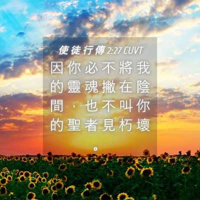 Picture 04 - 使 徒 行 傳 2:27 CUVT - 因 你 必 不 將 我 的 靈 魂 撇 在 陰 - Bible Verse Picture