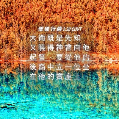 Picture 04 - 使 徒 行 傳 2:30 CUVT - 大 衛 既 是 先 知 ， 又 曉 得 神 曾 - Bible Verse Picture
