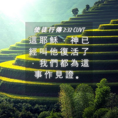 Picture 04 - 使 徒 行 傳 2:32 CUVT - 這 耶 穌 ， 神 已 經 叫 他 復 活 了 - Bible Verse Picture