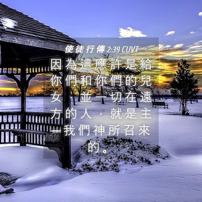 Picture 04 - 使 徒 行 傳 2:39 CUVT - 因 為 這 應 許 是 給 你 們 和 你 們 - Bible Verse Picture