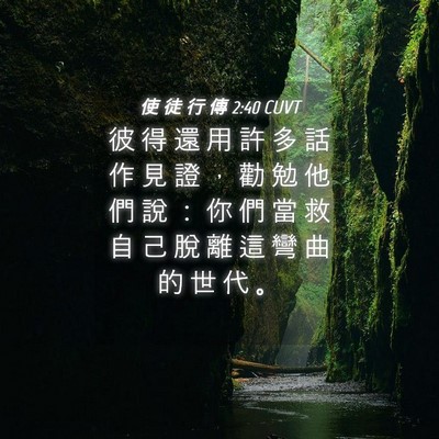 Picture 04 - 使 徒 行 傳 2:40 CUVT - 彼 得 還 用 許 多 話 作 見 證 ， 勸 - Bible Verse Picture