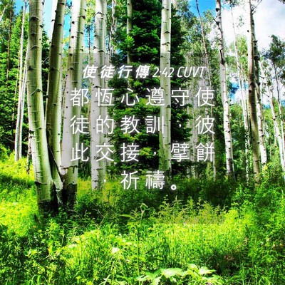 Picture 04 - 使 徒 行 傳 2:42 CUVT - 都 恆 心 遵 守 使 徒 的 教 訓 ， 彼 - Bible Verse Picture