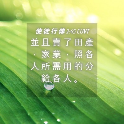 Picture 04 - 使 徒 行 傳 2:45 CUVT - 並 且 賣 了 田 產 ， 家 業 ， 照 各 - Bible Verse Picture
