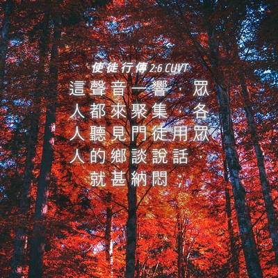 Picture 04 - 使 徒 行 傳 2:6 CUVT - 這 聲 音 一 響 ， 眾 人 都 來 聚 集 - Bible Verse Picture