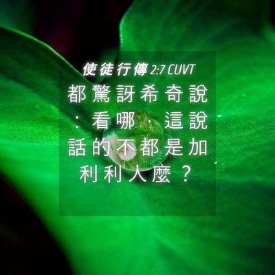 Picture 04 - 使 徒 行 傳 2:7 CUVT - 都 驚 訝 希 奇 說 ： 看 哪 ， 這 說 - Bible Verse Picture