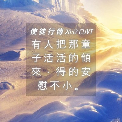 Picture 04 - 使 徒 行 傳 20:12 CUVT - 有 人 把 那 童 子 活 活 的 領 來 ， - Bible Verse Picture
