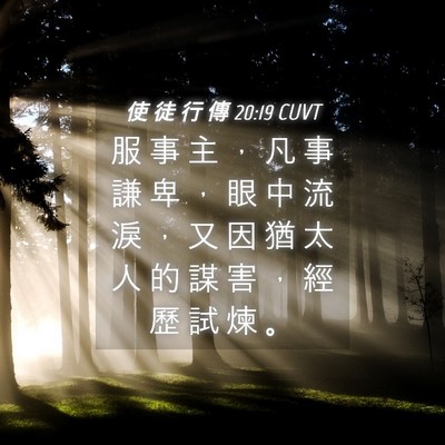 Picture 04 - 使 徒 行 傳 20:19 CUVT - 服 事 主 ， 凡 事 謙 卑 ， 眼 中 流 - Bible Verse Picture