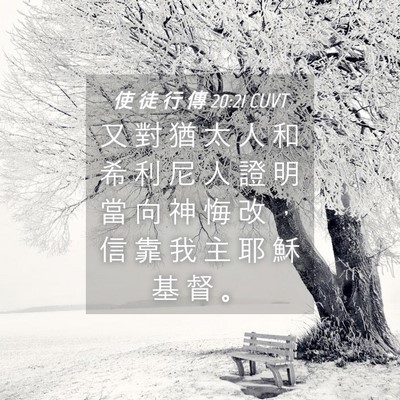 Picture 04 - 使 徒 行 傳 20:21 CUVT - 又 對 猶 太 人 和 希 利 尼 人 證 明 - Bible Verse Picture