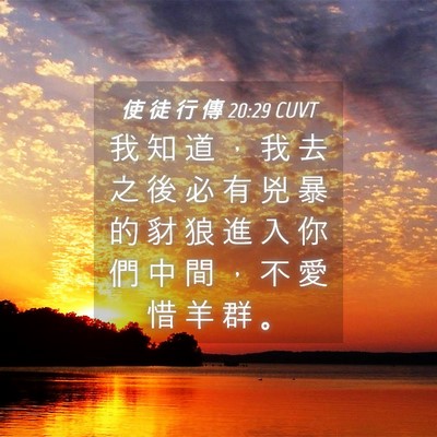 Picture 04 - 使 徒 行 傳 20:29 CUVT - 我 知 道 ， 我 去 之 後 必 有 兇 暴 - Bible Verse Picture