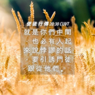 Picture 04 - 使 徒 行 傳 20:30 CUVT - 就 是 你 們 中 間 ， 也 必 有 人 起 - Bible Verse Picture