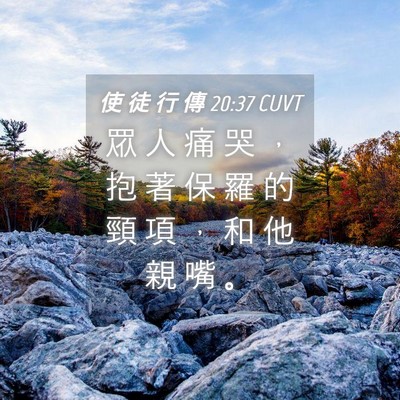 Picture 04 - 使 徒 行 傳 20:37 CUVT - 眾 人 痛 哭 ， 抱 著 保 羅 的 頸 項 - Bible Verse Picture
