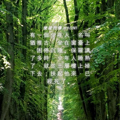 Picture 04 - 使 徒 行 傳 20:9 CUVT - 有 一 個 少 年 人 ， 名 叫 猶 推 古 - Bible Verse Picture