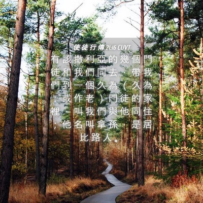 Picture 04 - 使 徒 行 傳 21:16 CUVT - 有 該 撒 利 亞 的 幾 個 門 徒 和 我 - Bible Verse Picture