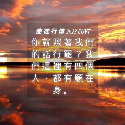Picture 04 - 使 徒 行 傳 21:23 CUVT - 你 就 照 著 我 們 的 話 行 罷 ？ 我 - Bible Verse Picture