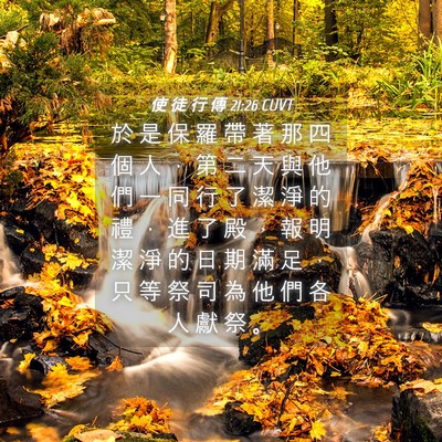Picture 04 - 使 徒 行 傳 21:26 CUVT - 於 是 保 羅 帶 著 那 四 個 人 ， 第 - Bible Verse Picture