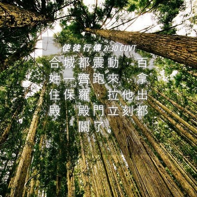 Picture 04 - 使 徒 行 傳 21:30 CUVT - 合 城 都 震 動 ， 百 姓 一 齊 跑 來 - Bible Verse Picture