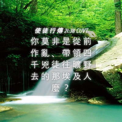 Picture 04 - 使 徒 行 傳 21:38 CUVT - 你 莫 非 是 從 前 作 亂 、 帶 領 四 - Bible Verse Picture