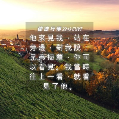 Picture 04 - 使 徒 行 傳 22:13 CUVT - 他 來 見 我 ， 站 在 旁 邊 ， 對 我 - Bible Verse Picture