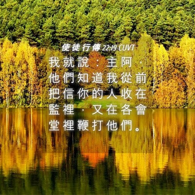 Picture 04 - 使 徒 行 傳 22:19 CUVT - 我 就 說 ： 主 阿 ， 他 們 知 道 我 - Bible Verse Picture