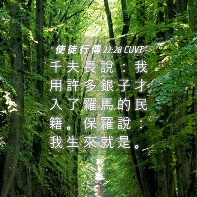 Picture 04 - 使 徒 行 傳 22:28 CUVT - 千 夫 長 說 ： 我 用 許 多 銀 子 才 - Bible Verse Picture