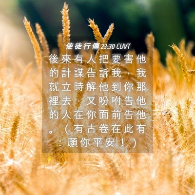 Picture 04 - 使 徒 行 傳 23:30 CUVT - 後 來 有 人 把 要 害 他 的 計 謀 告 - Bible Verse Picture