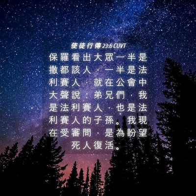Picture 04 - 使 徒 行 傳 23:6 CUVT - 保 羅 看 出 大 眾 一 半 是 撒 都 該 - Bible Verse Picture
