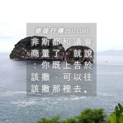 Picture 04 - 使 徒 行 傳 25:12 CUVT - 非 斯 都 和 議 會 商 量 了 ， 就 說 - Bible Verse Picture