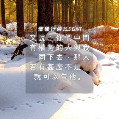 Picture 04 - 使 徒 行 傳 25:5 CUVT - 又 說 ： 你 們 中 間 有 權 勢 的 人 - Bible Verse Picture