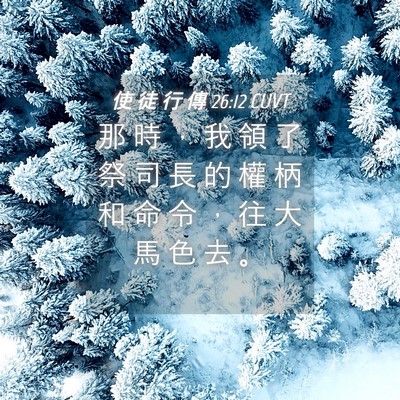 Picture 04 - 使 徒 行 傳 26:12 CUVT - 那 時 ， 我 領 了 祭 司 長 的 權 柄 - Bible Verse Picture