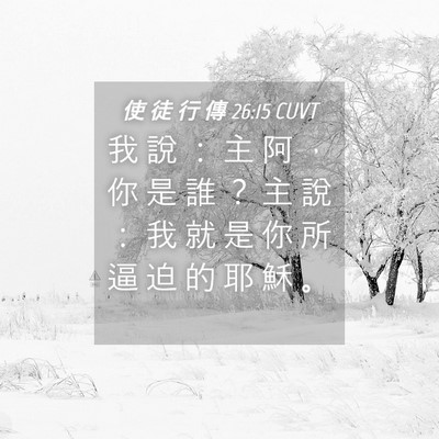 Picture 04 - 使 徒 行 傳 26:15 CUVT - 我 說 ： 主 阿 ， 你 是 誰 ？ 主 說 - Bible Verse Picture