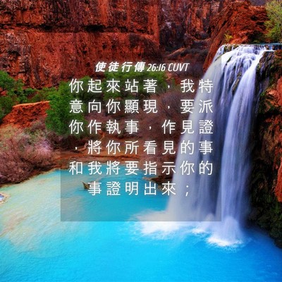 Picture 04 - 使 徒 行 傳 26:16 CUVT - 你 起 來 站 著 ， 我 特 意 向 你 顯 - Bible Verse Picture
